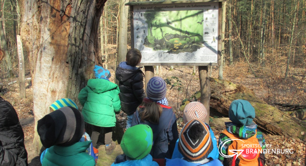 Orientierung für den Waldtag 