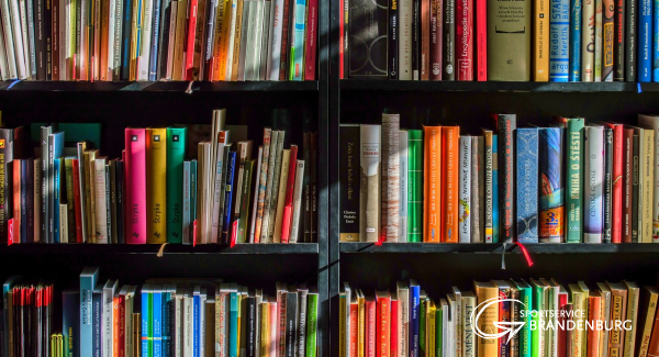 Bücherregal