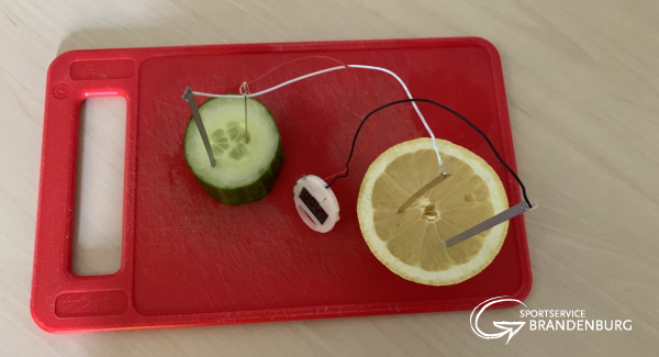 Mit Gurke und Zitrone zum Strom