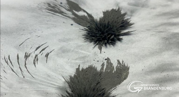 Sichtbar machen eines Magnetfeldes