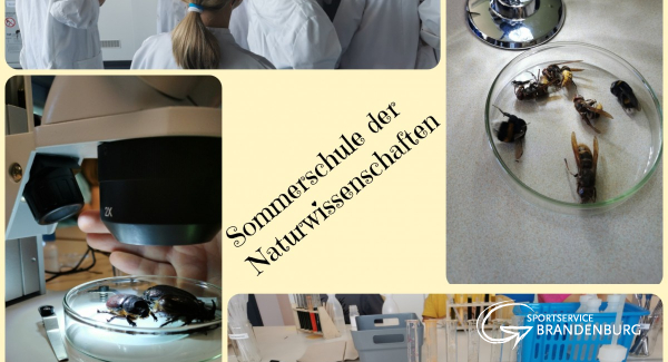 Sommerschule der Naturwissenschaften