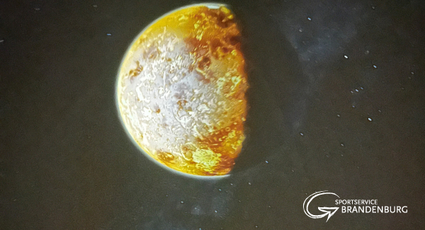 Planetarium