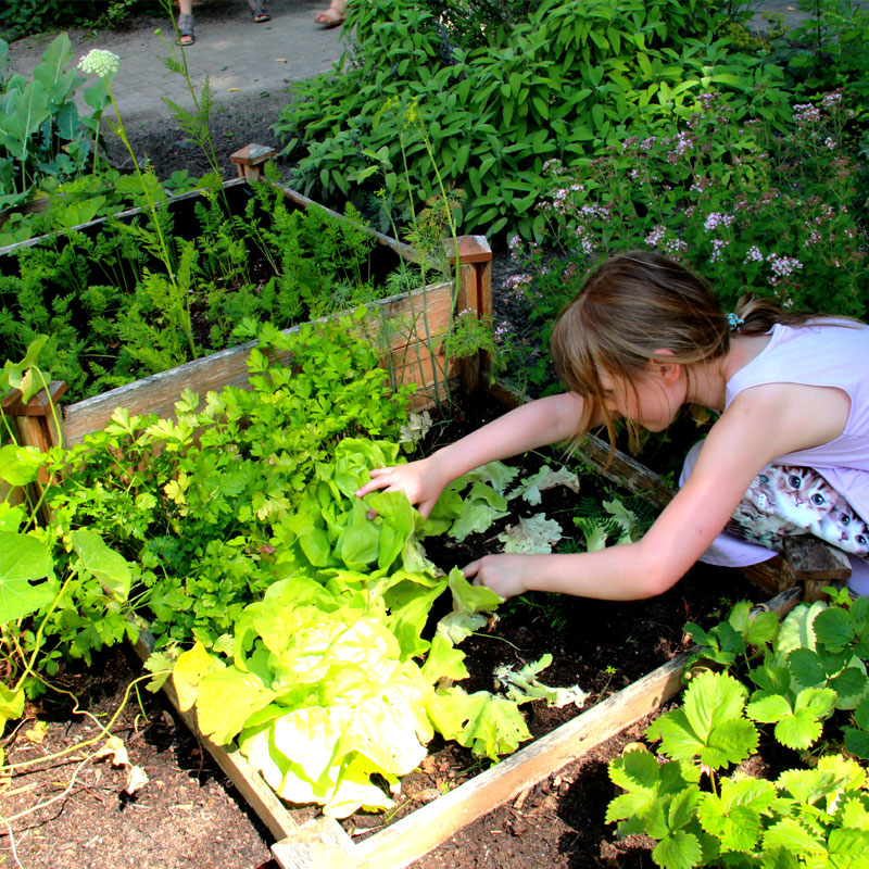 LSB-Sportservice-Potsdam-Brandenburg-Hort-Schulplatz_Raeume_6