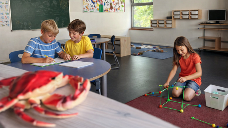 LSB-Sportservice-Potsdam-Brandenburg-Hort-Wellenreiter_6