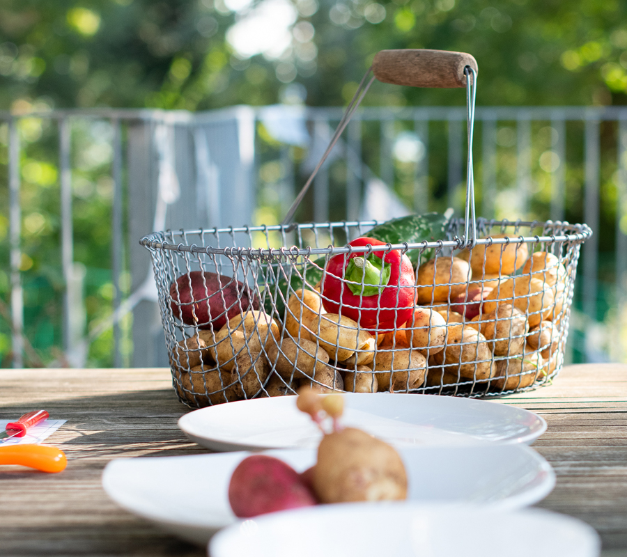 LSB-Sportservice-Potsdam-Brandenburg-Kita-Königskinder_1